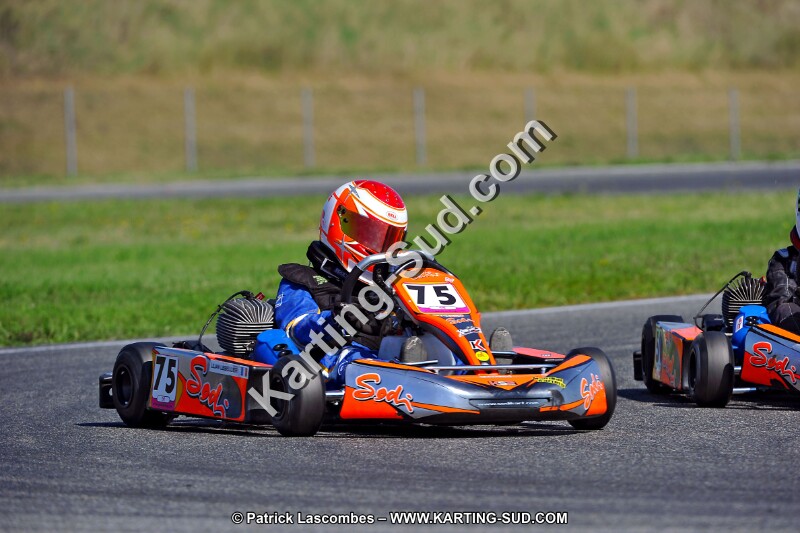 DSC_ (1270).jpg